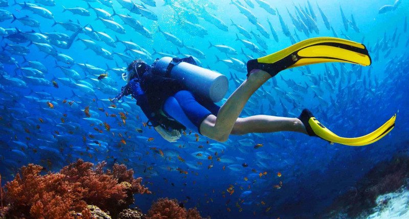 top 4 best dive sites in singapore