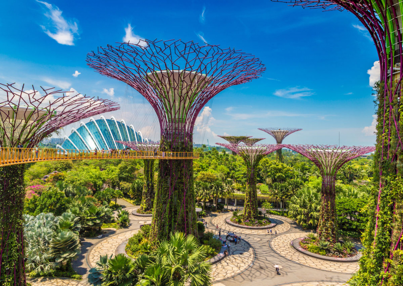 top 7 best things to do in singapore